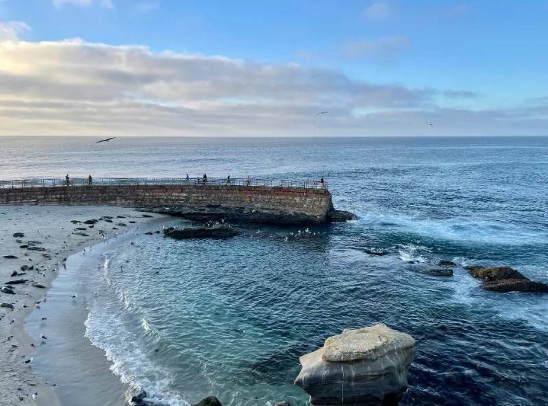 The curved seawall at the Children's Pool in La Jolla, with seals hauled out on the sand inside it.